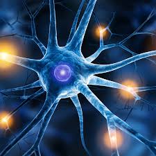 Polyneuropathie Symptome Und Behandlung Ndr De Ratgeber Gesundheit