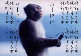 「修行」の画像検索結果