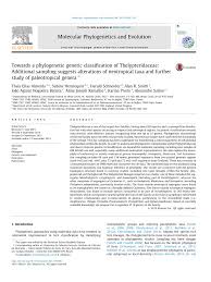 Image result for Amauropelta bergiana