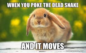When You Poke The Dead Snake And It Moves Regretful Rabbit Make A Meme