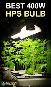 Maybe you would like to learn more about one of these? The Best 400w Hps Bulb For Flowering Top 5 Brand Reviews Guide Garden Bulbs Bulb Plant Leaves