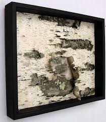 Framed Birch Tree Wall Art Framed Birch Bark Wall Hanging Black And White By Madeatthelake Birch Wood Crafts Birch Bark Crafts Birch Tree Decor