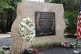 Image result for Faroa salutaris