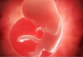 I have collected in this article the basics which i have been using over the years to respond to the practical issues women often ask about the secretions of the cervix. Sarcina Pe Saptamani Calendar Sarcina Miculrinocer Ro