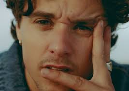 Bradley Simpson, The Panic Years, The Vamps