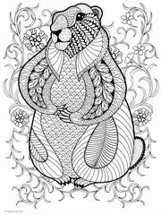 Coloring book animals for adults is a free magic coloring game with 50 different animal drawings for coloring: 100 Animal Coloring Pages For Adults Difficult