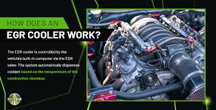 Image result for egr