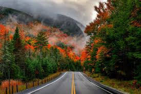 Your latest color update from the...