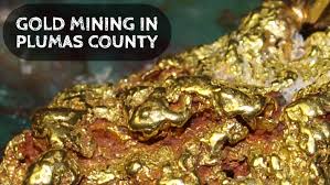 The gold here is very fine, and finding access to the river will be challenging. Plumas County Gold Prospecting Areas In Northern California How To Find Gold Nuggets
