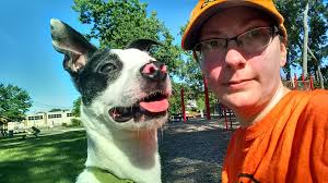 What did you think of The Midnight Run cartoon?