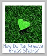 Maybe you would like to learn more about one of these? How To Remove Grass Stains