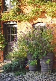 A Year At Allt Y Bela Dream Garden Garden Illustration Cottage Garden