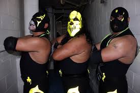 Our records are accessible from anywhere online. 25 Conjuntos Luchisticos Iv