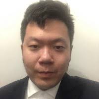 20+ "Lewis Li" profiles