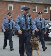 9246 8333 or crime stoppers ph: Recently Retired Warwick Pd K 9 Needs Your Help The Warwick Valley Dispatch