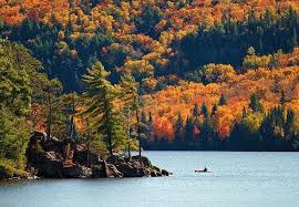The Scenic Algonquin Provincial Park Is Part Of The Central Ottawa Sub Watershed This Area Faces Very High Threats F Ontario Parks Algonquin Park Parks Canada