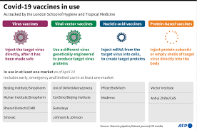Maybe you would like to learn more about one of these? Pfizer Ceo Says 3rd Covid Vaccine Dose Likely Needed Within 6 To 12 Months News Khaleej Times