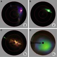 I'm devastated and so sorry that we weren't able to bring this thing in for a landing in time. Sexual Dichromatism Of The Blue Throated Starfrontlet Coeligena Helianthea Hummingbird Plumage Springerlink