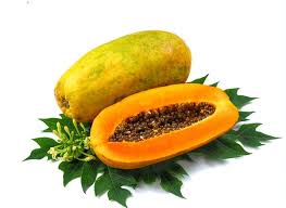 Image result for Caricaceae