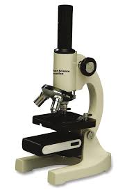 The majority of compound microscopes use a low voltage halogen bulb. Https Beta Static Fishersci Com Content Dam Fishersci En Us Documents Programs Education Brochures And Catalogs Guides Fisher Science Education Microscope Instruction Guide Pdf