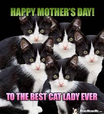 Funny Kitten Siblings Say Happy Mother S Day To The Best Cat Lady Ever Happy Mom Day Crazy Cat People Cat Mom