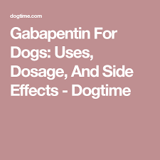 Gabapentin For Dogs Uses Dosage And Side Effects Dog