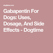 gabapentin for dogs uses dosage and side effects dog