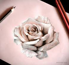 40 How To Draw A Rose Easy Rose Drawing Tutorials Hm Art White Rose Tattoos Roses Drawing Rose Drawing