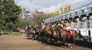 Ready to elevate your bets? Horse Racing Nation Horseracingnation Com