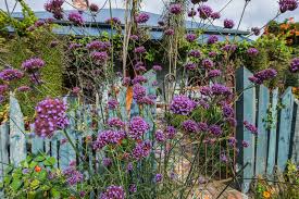 Dunstable's original florist since 1898. New Zealand S Flourishing Gardens And The Women Behind Them Rnz