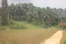 Check spelling or type a new query. Kereta Dari Malaysia Ke Singapura Pp The Backpacker S Blog