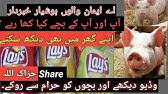 हलाल या हराम?e code halal or haram? What Are E Codes In Food Are They Haram Or Halal In Urdu Hindi Youtube