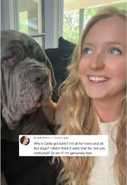 Callie's Adventures: A Fun Life with a Neapolitan Mastiff