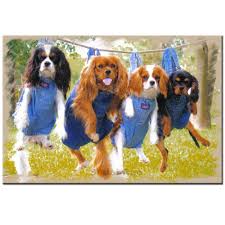 Le cavalier king charles possède un crâne presque plat, avec un stop peu accentué. 5d Diy Diamond Painting Cavalier King Charles Spaniel Dogs Cross Stitch Mosaic Square Round Diamond Embroidery Funny Pet Yg1499 Diamond Painting Cross Stitch Aliexpress