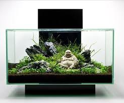 42 Amazing Aquarium Design Ideas Indoor Decorations Amazing Aquariums Fish Tank Design Aquascape Aquarium
