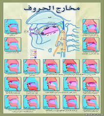صور توضيحية النون المشددة والميم المشددة في القران بحث google arabic kids learn arabic language arabic alphabet for kids