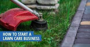 In the past few years organic lawn care has become a very hot topic. How To Start A Lawn Care Business