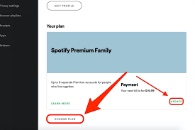 Millions of songs and podcasts. How To Remove Credit Card From Spotify We Source