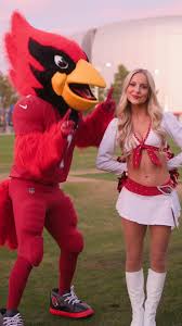 Arizona Cardinals Cheerleaders (@azcardscheer) - Instagram