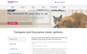 Insuring your older pet is risky to insurance companies since they may need to give out much more money than the payment that they received from their customer. Best Pet Insurance And How To Find The Right Cover