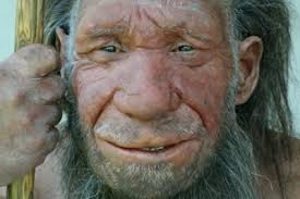 Not everyone would embrace their inner caveman, but in today&#39;s Slate Ann Gibbons sure did. Gibbons, who also writes for Science, is the author of the book ... - neanderthaler2
