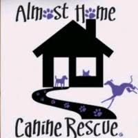 Bring your pets for adorable holiday photos by thousand woofs. Dawn Macdonald Founder Of Almost Home Canine Rescue Almost Home Canine Rescue Linkedin