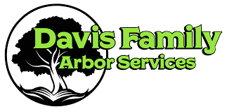 John travolta, christian slater, samantha mathis and others. Broken Arrow Tree Service We Provide Professional Tree Service In Ba