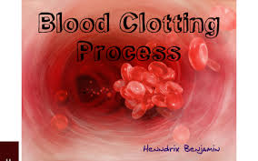 Blood clotting or coagulation blood clotting or coagulation is a biological process that stops bleeding. Blood Clotting Process By Henndrix Benjamin