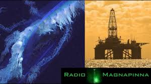 Discover more posts about magnapinna. Giant Siphonophore Discovered Gulf Of Mexico Pollution Radio Magnapinna Youtube
