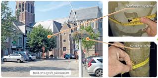 Son ancien amant, tom cody, arrive en ville pour la retrouver. Schemas D Implantation De Treeparker A Telecharger