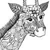 Coloring book pdf for printing. 1