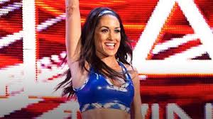 We did not find results for: Brie Bella Daniel Bryan Welcome A Healthy Baby Girl Birdie Joe Danielson Ewrestlingnews Com