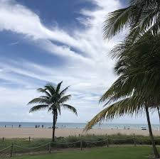 Anise beauty salon of delray beach, fl never makes any compromises with people's beauty and appearance. King S Point Hair Cuts King And Queen S Hair Salon And Barbersh Inside The Clubhouse 7000 W Atlantic Ave Delray Beach Fl 33446 Usa