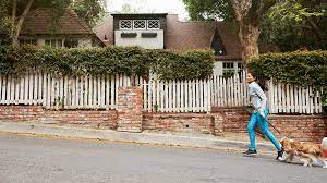 501(c)3 fighting to end dog trafficking/slaughter markets globally. Signs Of A Dog Friendly City Real Estate 101 Trulia Blog